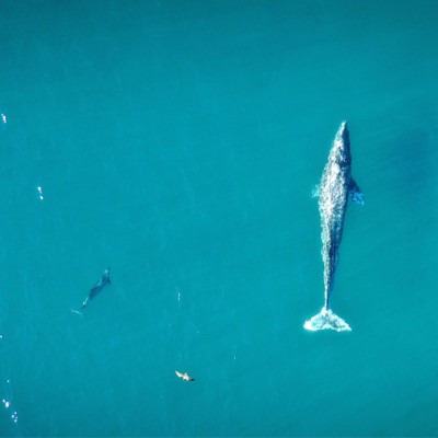 weDo-World-Oceans-Day-pic-3