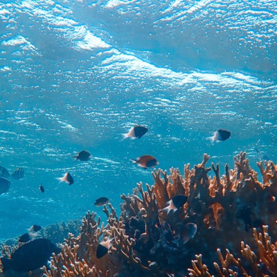 weDo-World-Oceans-Day-pic-7