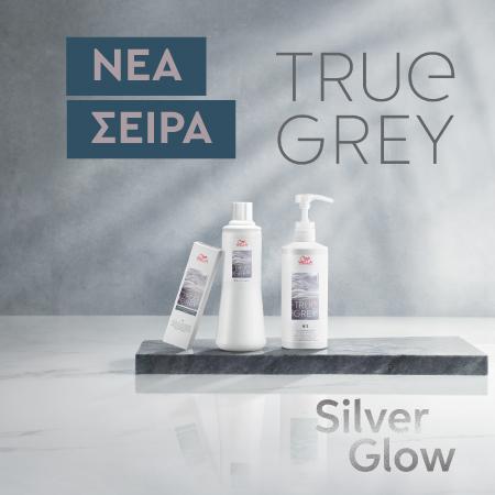 True Grey θεραπείες χρώματος στο κομμωτήριο by Wella Professionals